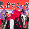 紀州弁慶よさこい踊り③