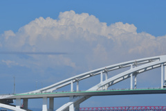 橋の上から見る人