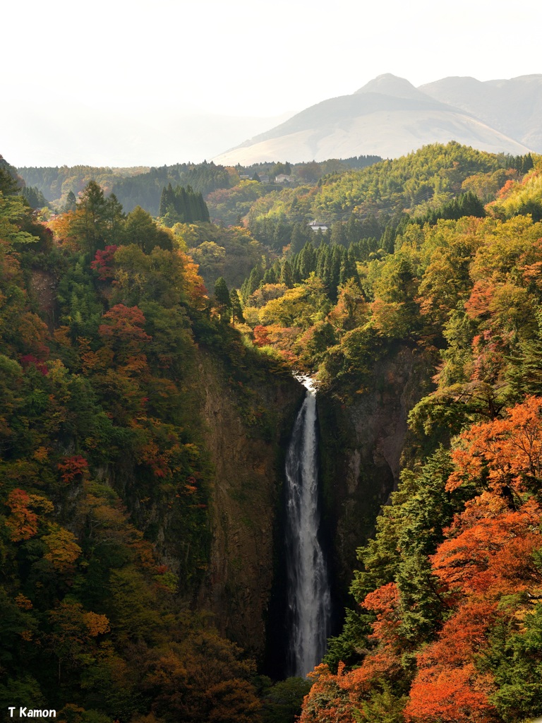 紅葉の中の滝　