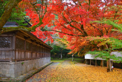 上は赤　下は黄