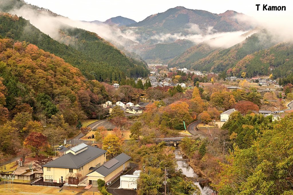 里山の秋