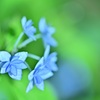 ふんわり