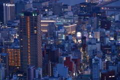 神戸の夜景③