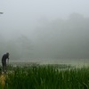 濃霧の長谷池