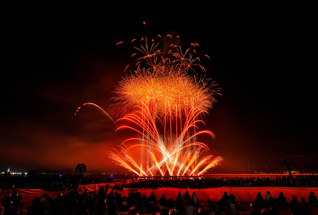 第5回花火甲子園⑫