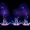 Disney Music & Fireworks③