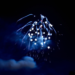 5号玉創造花火の部【準優勝】「RAIJIN」