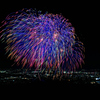 奈良公園バースデー花火⑪