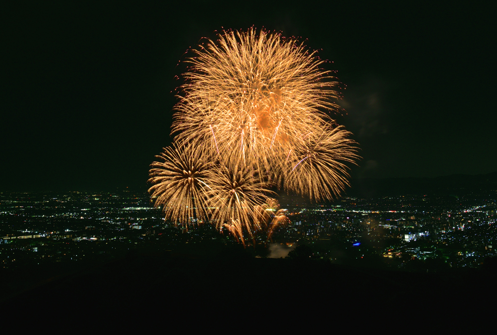 奈良公園バースデー花火④