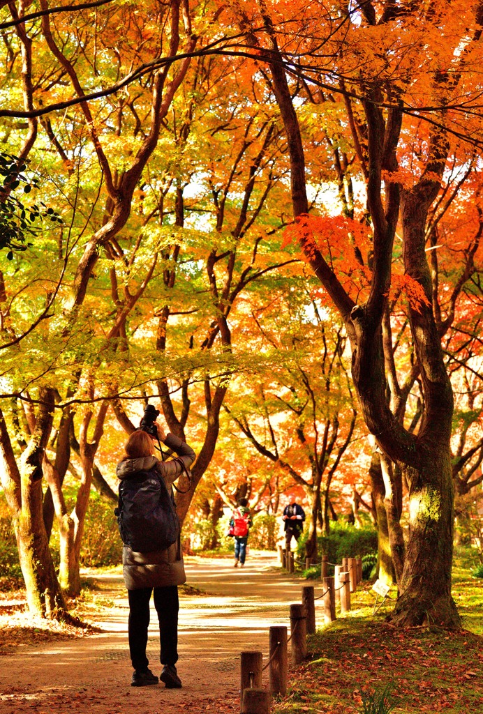 秋を撮る外国人カメラマン