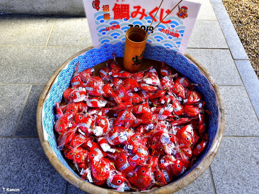 鯛みくじ