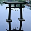 シンメトリー