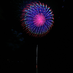 加東市制20周年記念花火大会④