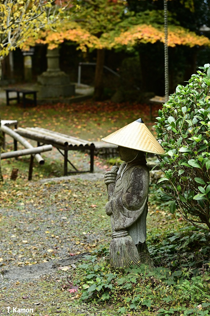 落葉掃除が大変です