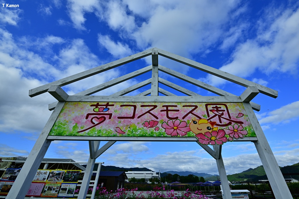夢コスモス園
