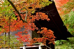 大国寺本堂と紅葉