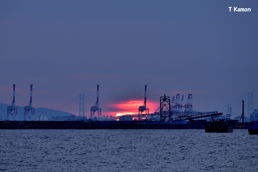 巨大なキリンに沈む夕陽