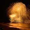 浜坂ふるさと夏まつり花火大会⑯