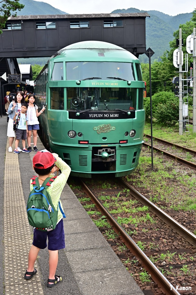 小さなカメラマン