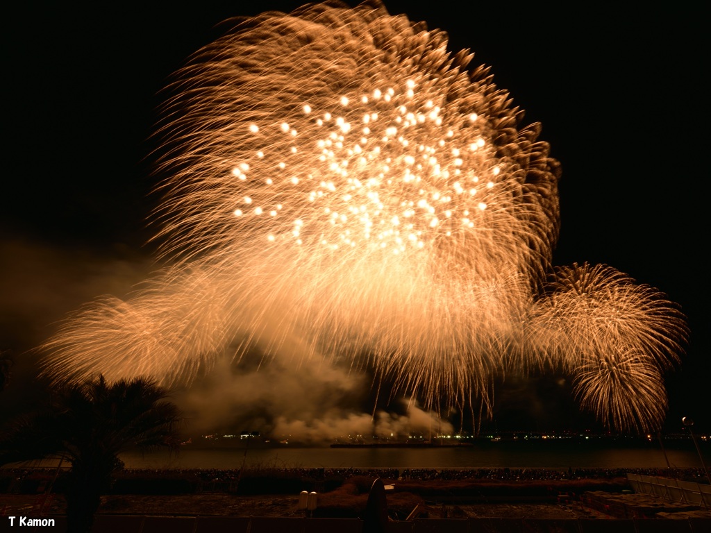 ISOGAI花火劇場in名古屋港⑩