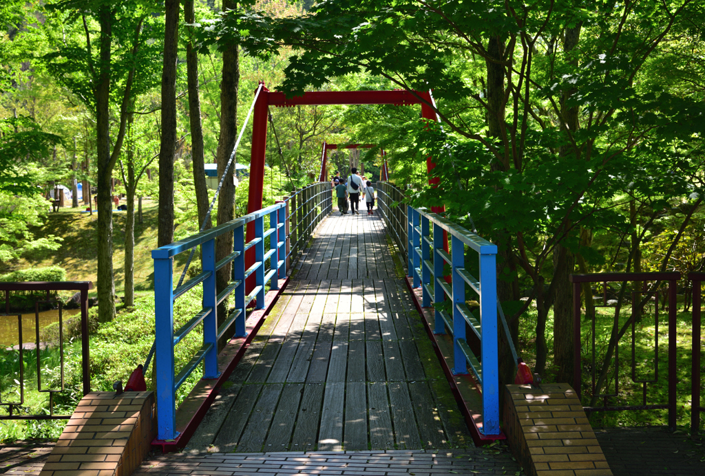 木陰の橋