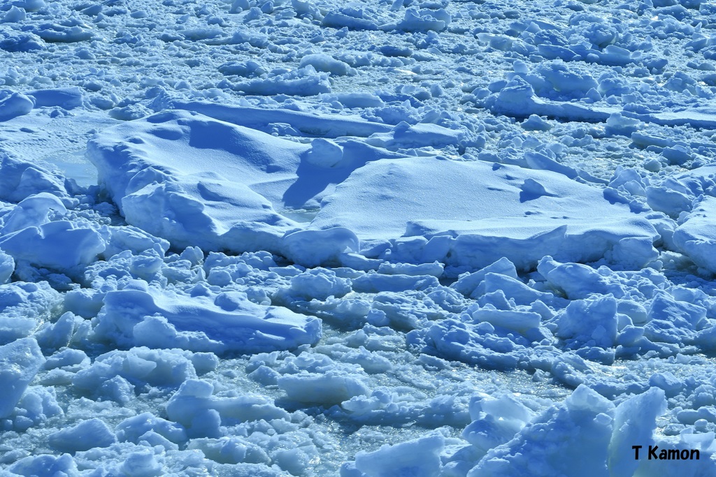 流氷のオホーツク海②