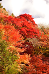 パレット(紅葉の風景⑤)