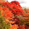 パレット(紅葉の風景⑤)