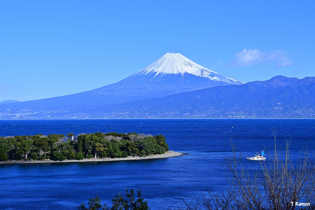 大瀬崎から