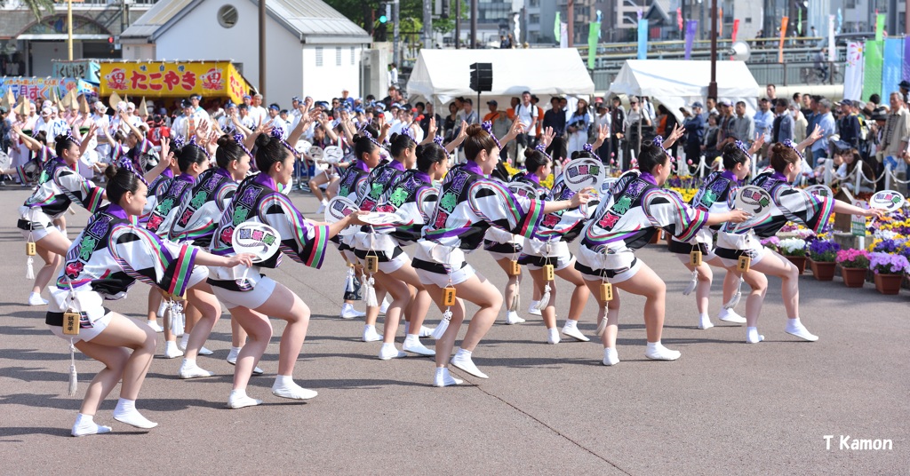 阿波踊り～女ハッピ踊り④