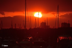 夕陽