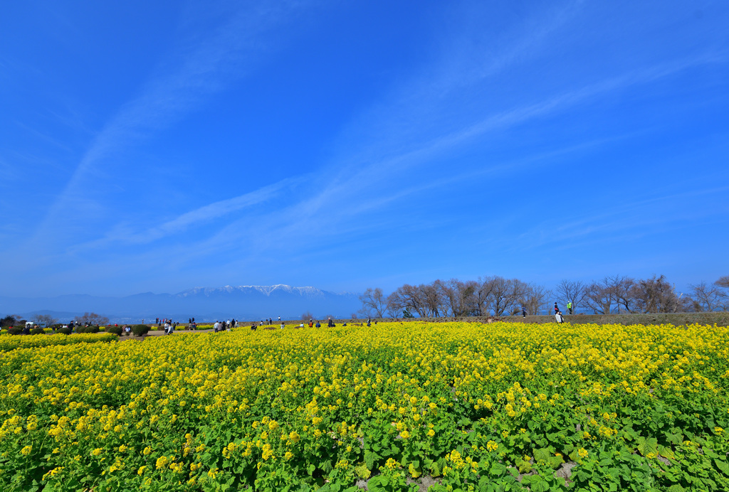 青空