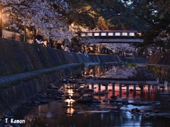 夜桜と橋と川