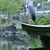 優雅