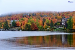 紅葉と霧と湖