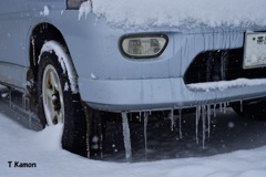 凍る車