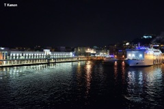 ナポリ港の夜景