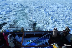 流氷のオホーツク海⑦