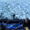 流氷のオホーツク海⑦