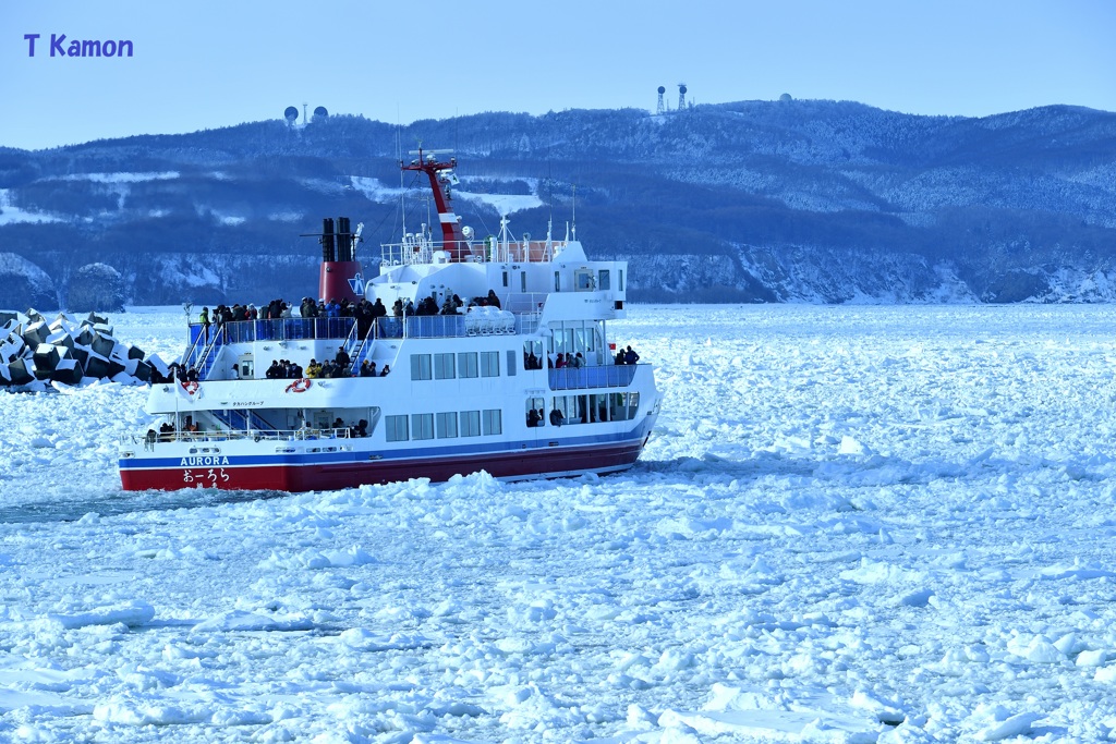 流氷のオホーツク海①
