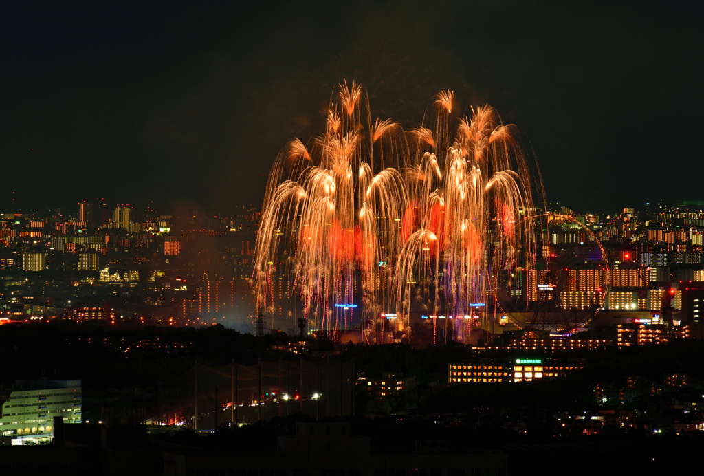 万博夜空がアートになる日2023⑩