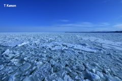 流氷のオホーツク海④