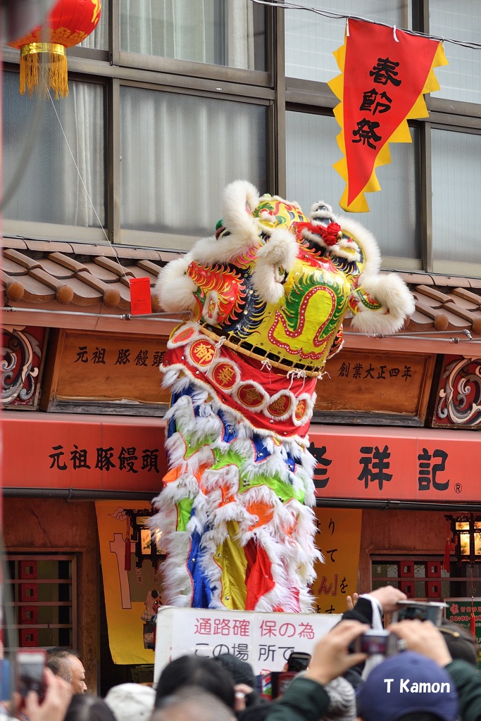 獅子舞採青(春節祭シリーズ③)