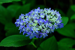 グラデーションⅰ