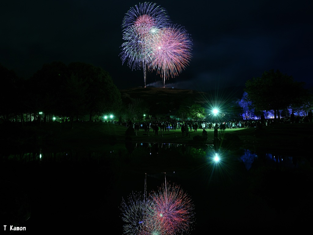 奈良公園139歳のバースデー花火④