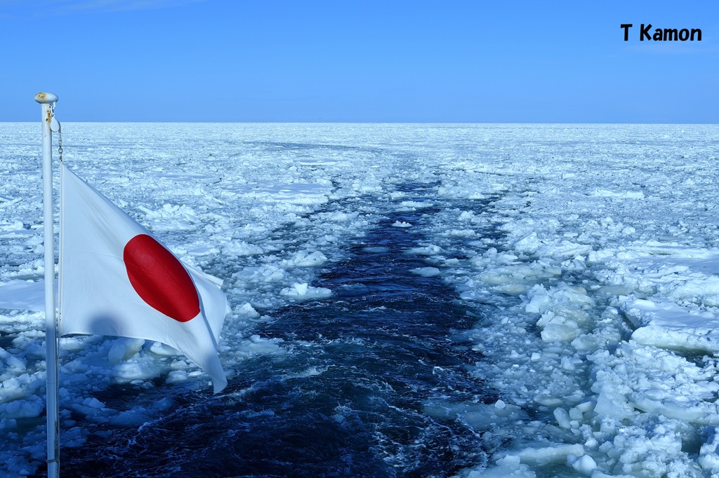 流氷のオホーツク海⑥