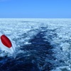 流氷のオホーツク海⑥