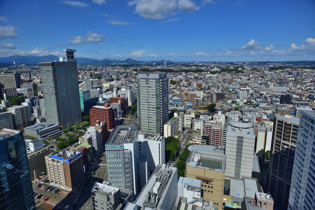 31階からの杜の都仙台