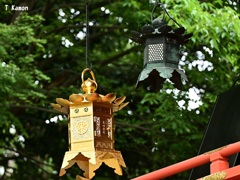 新旧