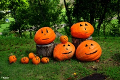 ハロウィンには少し早いけど